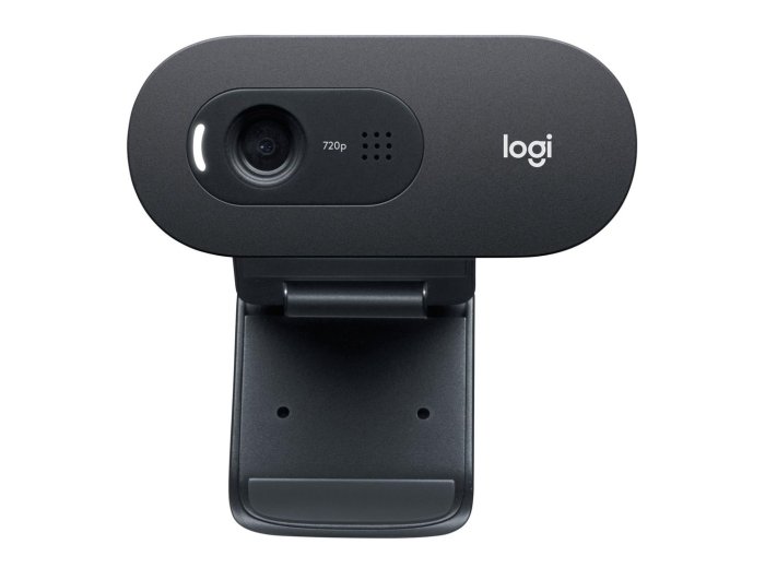 Kamera LOGITECH C505E HD Webcam Black