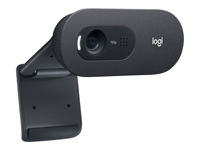 Kamera LOGITECH C505E HD Webcam Black