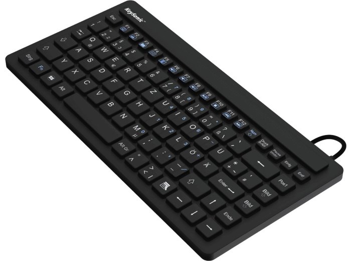 KeySonic KSK-3230IN (US) klawiatura Przemysłowy USB QWERTY US English Czarny