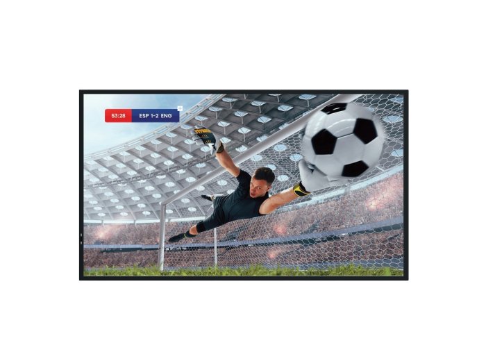 Monitor 55DM66D 55 cali 4K UHD IPS Digital Signage Display 24/7