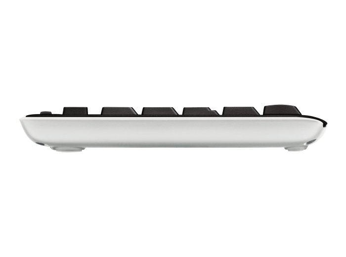 Klawiatura K120 for Business/BLK - CZE-SKY - EMEA