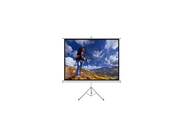 Ekran ręczny na statywie TS-100 4:3 100 cali 203x152cm