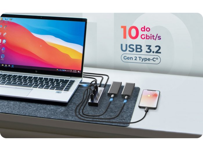 HUB IB-HUB1450-C31 10 x USB TYPE-C Gen 2 z zasilaczem
