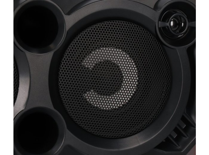Głośnik APS31 system audio Bluetooth Karaoke