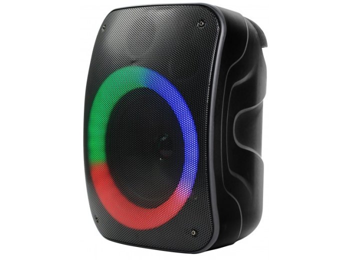 Głośnik Bluetooth STAGE 300