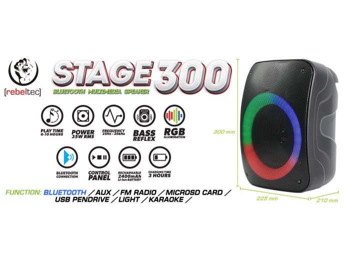 Głośnik Bluetooth STAGE 300