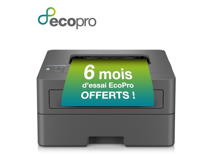 Brother HL-L2400DWE drukarka laserowa 1200 x 1200 DPI A4 Wi-Fi