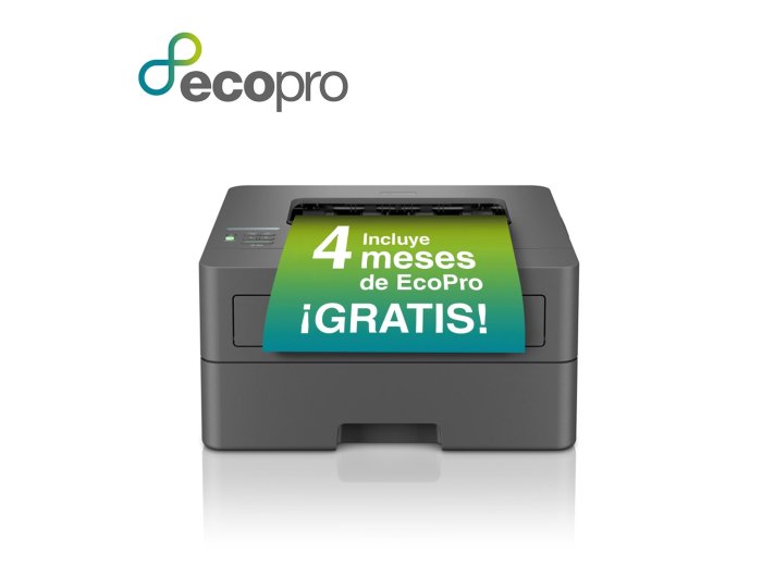 Brother HL-L2400DWE drukarka laserowa 1200 x 1200 DPI A4 Wi-Fi
