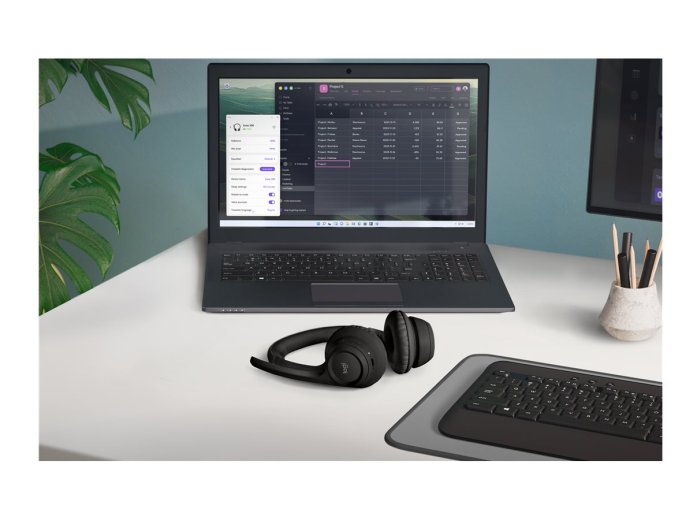Logitech Zone 300
