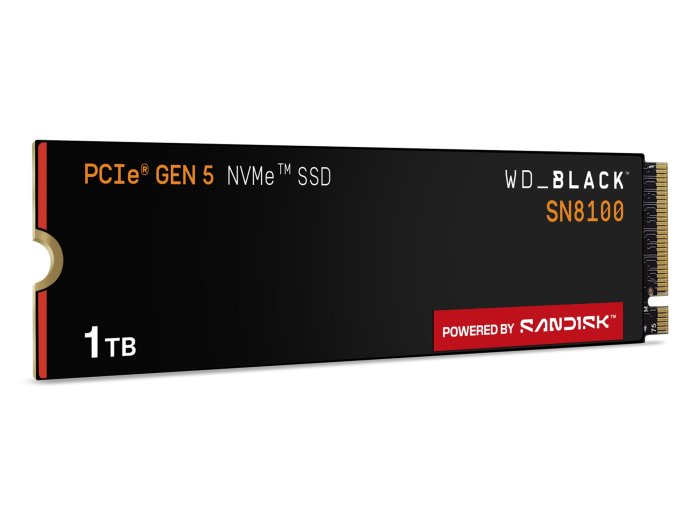 SSD WD Black SN8100 w/o HS 1TB WDS100T1X0M