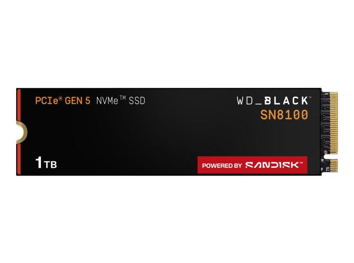 SSD WD Black SN8100 w/o HS 1TB WDS100T1X0M