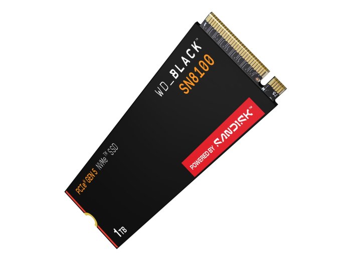 SSD WD Black SN8100 w/o HS 1TB WDS100T1X0M