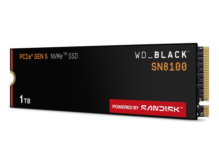 SSD WD Black SN8100 w/o HS 1TB WDS100T1X0M