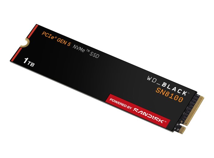 SSD WD Black SN8100 w/o HS 1TB WDS100T1X0M