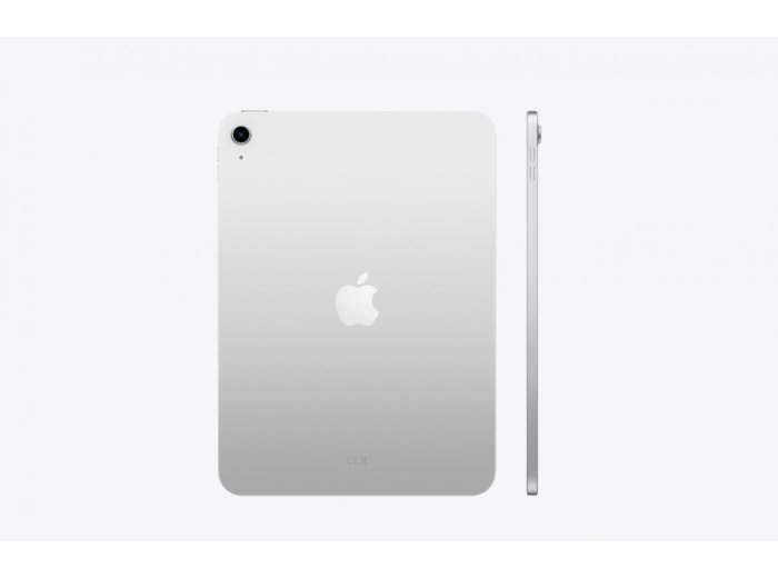 iPad WiFi 11 cali 256GB Srebrny