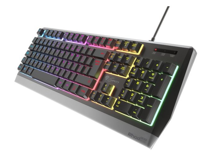 Klawiatura GENESIS NKG-1817 Gaming USB QWERTY Portugalski