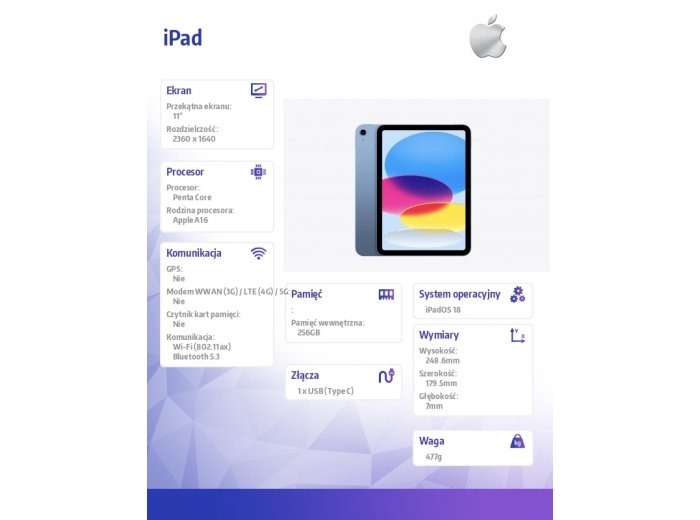 iPad WiFi 11 cali 256GB Niebieski