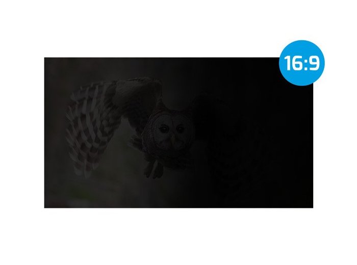 Filtr prywatyzujący RODO Owl 23.8 cala 16:9