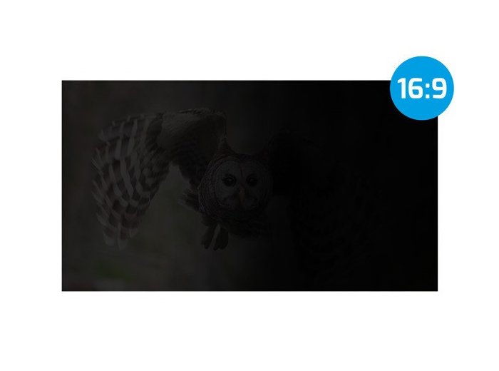 Filtr prywatyzujący RODO Owl 16 cali 16:10