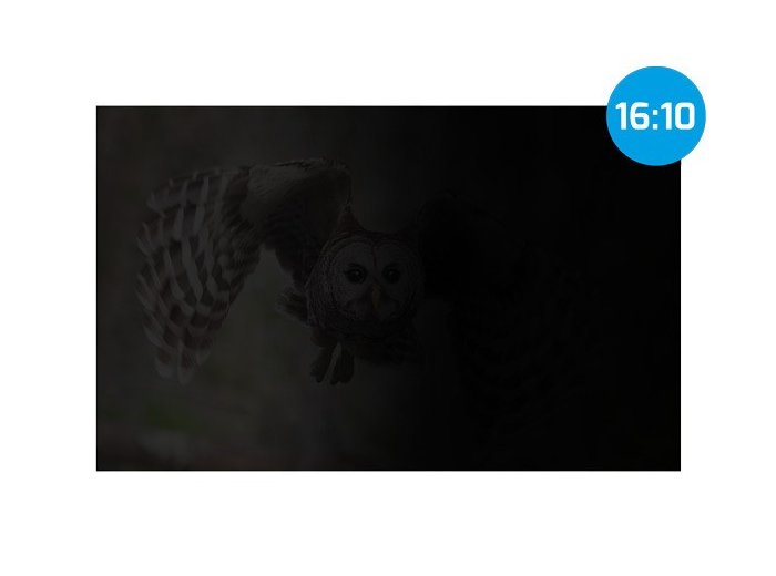 Filtr prywatyzujący RODO Owl 16 cali 16:10