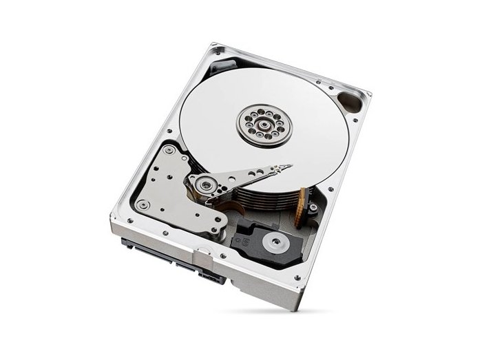 Dysk SkyHawkAI 10TB 3,5 256MB ST10000VE001