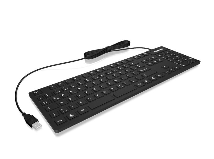 KeySonic KSK-8030 IN (US) klawiatura Przemysłowy USB QWERTY US English Czarny