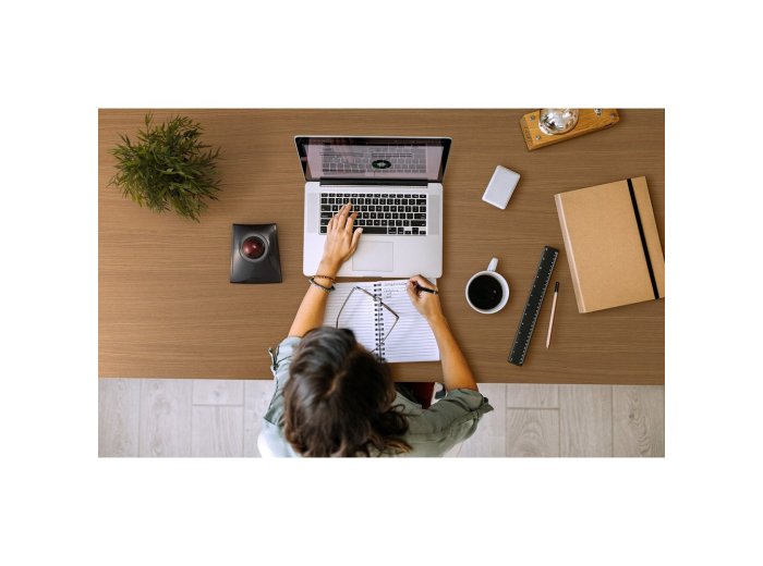 Kensington Trackball SlimBlade Pro