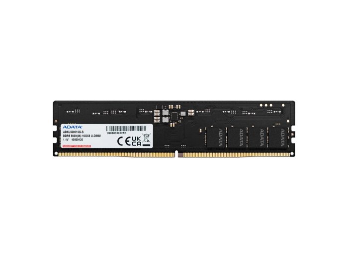 Pamięć Premier DDR5 5600 DIMM 16GB Single Tray