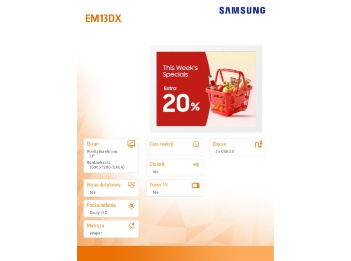 Monitor E-Paper 13 cali EM13DX LH13EMDIBGBXEN
