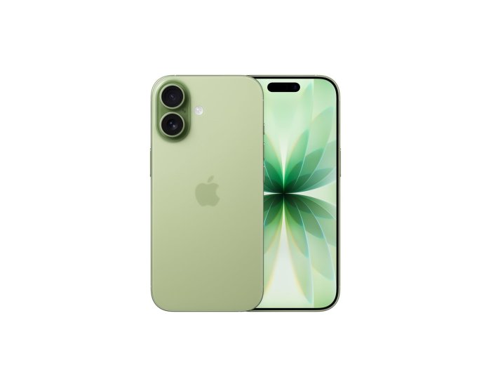 Apple iPhone 17 16 cm (6.3") Dual SIM iOS 26 5G USB Type-C 256 GB Szałwia