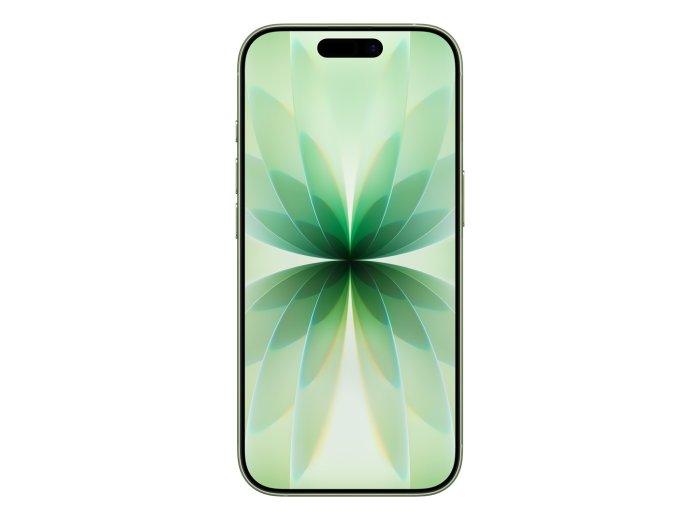 Apple iPhone 17 16 cm (6.3") Dual SIM iOS 26 5G USB Type-C 256 GB Szałwia