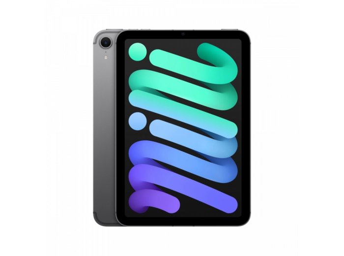 iPad mini Wi-Fi + Cellular 512GB Gwiezdna szarość