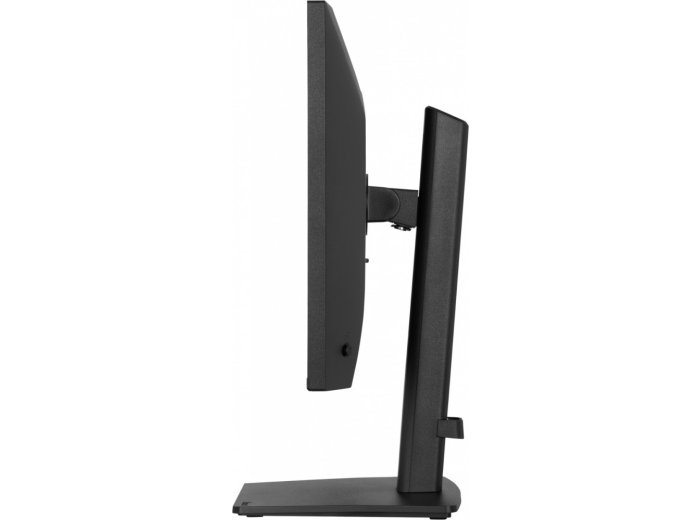 Monitor 23.8 cala XB2491HS-B1 IPS,HDMI,DP,1ms,350cd, 1500:1,120Hz,2x2W,HAS150 (PIVOT)