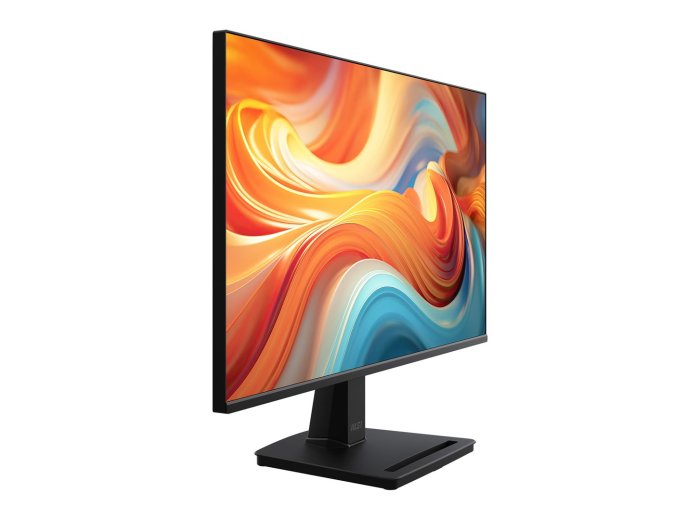 MSI Pro MP251 E14L monitor komputerowy 62,2 cm (24.5") 1920 x 1080 px Full HD Czarny