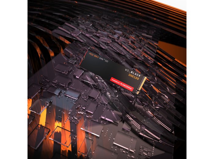 SSD WD Black SN8100 w/o HS 1TB WDS100T1X0M