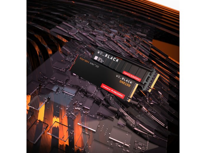 SSD WD Black SN8100 w/o HS 1TB WDS100T1X0M