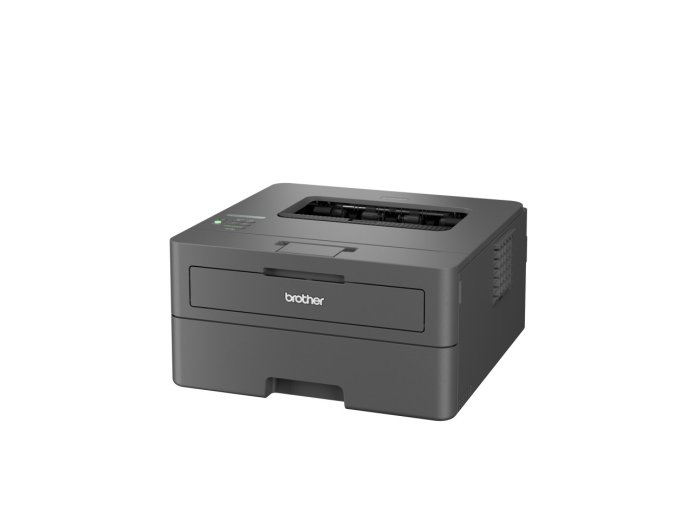 Drukarka Brother HL-L2445DW szary