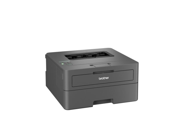 Drukarka Brother HL-L2445DW szary
