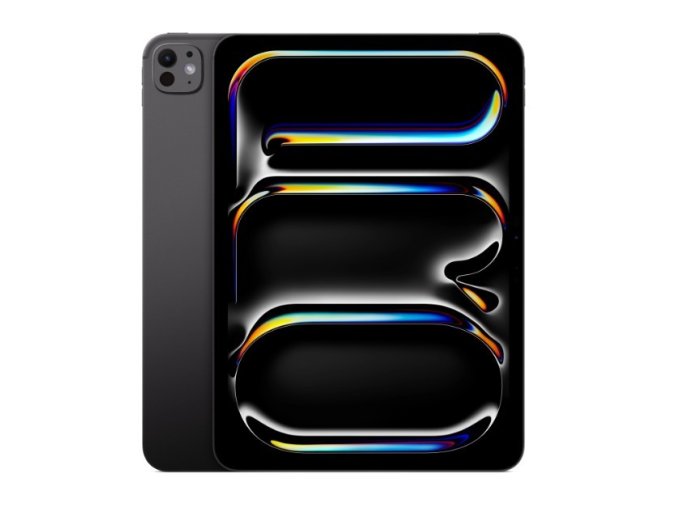 iPad Pro 13-calowy Wi-Fi + Cellular 256 GB ze standardowym szkłem - Gwiezdna czerń
