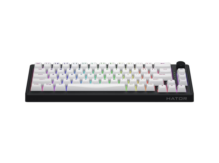 HATOR Skyfall 65 MAG ULTRA 8K klawiatura Gaming USB QWERTY US English Czarny, Biały