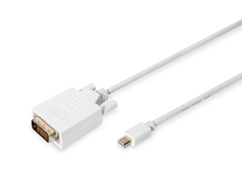 Kabel adapter Displayport 1080p 60Hz FHD Typ miniDP/DVI-D (24+1) M/M biały 2m