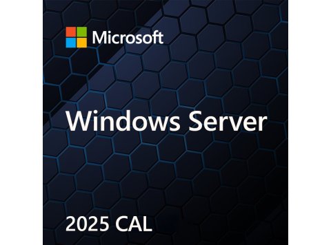 OEM Win Svr CAL 2025 User PL 1Clt EP2-25268