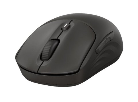 HP 405 Quiet Wireless Mouse