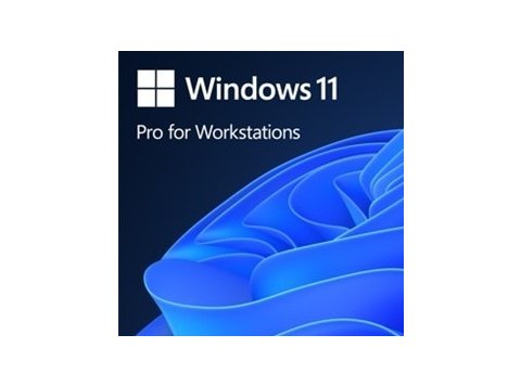 OEM Win Pro for Wrkstns 11 PL x64 HZV-00117