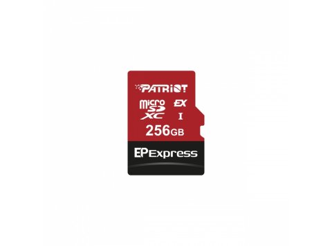 Karta pamięci microSDXC 256GB Express 800/600MB/s Nintendo Switch 2