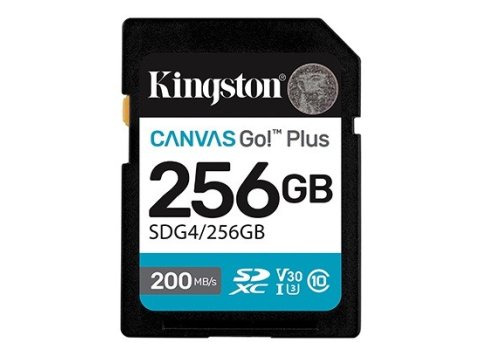 Karta pamięci SD 256GB Canvas Go Plus 200/160 MB/s C10 U3 V30