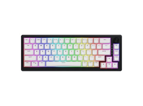 HATOR Skyfall 65 MAG ULTRA 8K klawiatura Gaming USB QWERTY US English Czarny, Biały