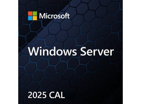 MS Windows Svr CAL 2025 PL 5Clt Device CAL OEM