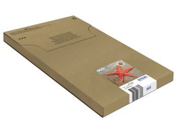Epson Multipack 4-colours 603 EasyMail