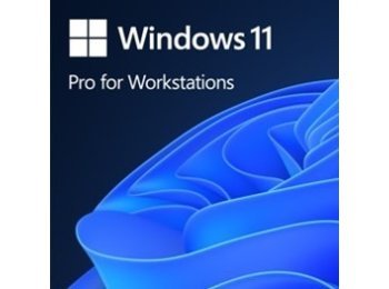 OEM Win Pro for Wrkstns 11 PL x64 HZV-00117